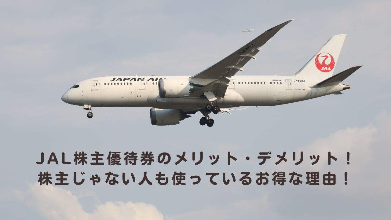 JAL 株主優待チケット